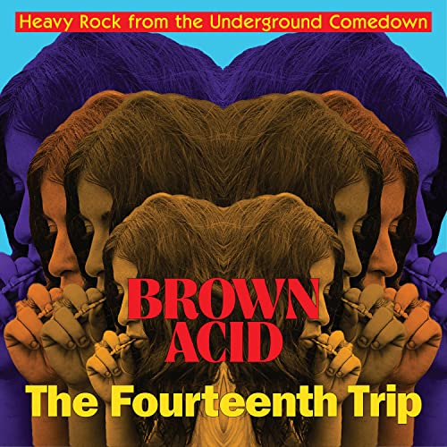 Brown Acid: the 14th Trip (Black) von VARIOUS ARTISTS