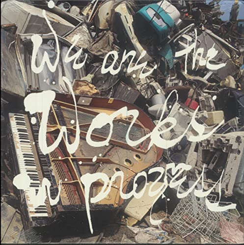 We Are the Work in Progress [Vinyl LP] von VARIOUS