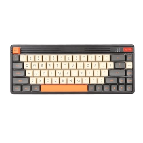 Mechanische Retro-Tastatur, Bluetooth, 2,4 G, USB C, 3 Modi, Hot-Swap-fähige Gaming-Tastatur mit 69 Tasten, Kompakt und Tragbar, für Windows für OS X von VBESTLIFE