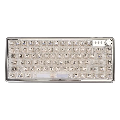 VBESTLIFE 75%-Tastatur, Mechanische Gaming-Tastatur mit Dichtungsmontage, 82 Tasten, 3 Modi, Benutzerdefinierte Tastatur, Transparente RGB-Tastatur mit Hintergrundbeleuchtung, (White) von VBESTLIFE