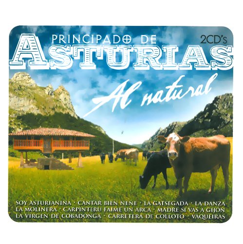 PRINCIPADO DE ASTURIAS 2CD von VCM