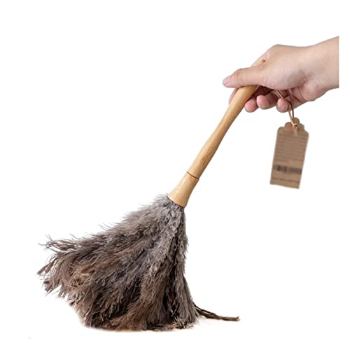 VDLLQYN, 16-Zoll-Royal-Staubwedel mit Holzgriff – Premium-Staubwedel mit Straußenfedern zur Möbelreinigung ，Staubsammler(Grey Height 40 Cm) von VDLLQYN