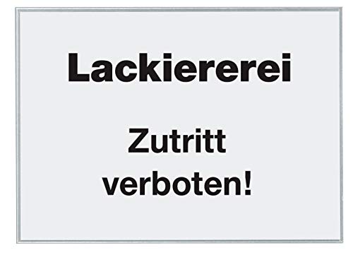 VELOFLEX 2206100 - Beschriftungsfenster selbstklebend, 105 x 148 mm, Selbstklebetaschen aus PP-Folie, 100 Stück VELOFLEX 2206100 - Beschriftungsfenster selbstklebend, 105 x 148 mm, Selbstklebetaschen aus PP-Folie, 100 Stück von VELOFLEX