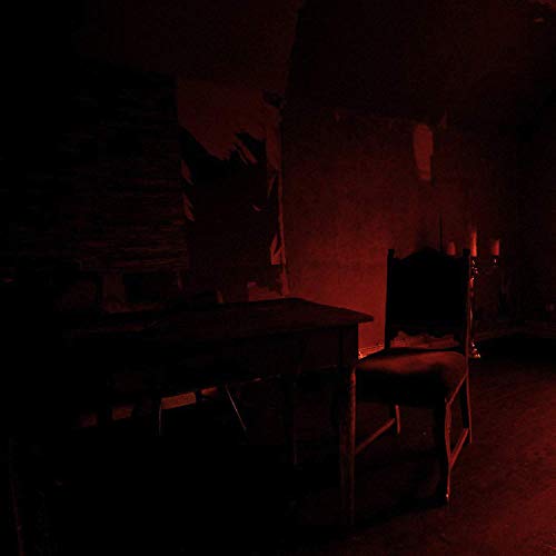 Belong [Vinyl LP] von VENDETTA RECORDS