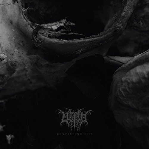 Converging Sins (+Download) [Vinyl LP] von VENDETTA RECORDS