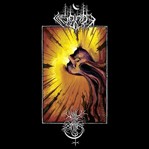 Split [Vinyl LP] von VENDETTA RECORDS