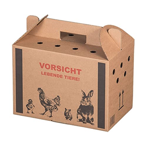 VEPATIM 10 Transportkarton für Kleintiere 320x200x230mm mit Tragegriff Luftlöchern und Automatikboden - Größe S VEPATIM 10 Transportkarton für Kleintiere 320x200x230mm mit Tragegriff Luftlöchern und Automatikboden - Größe S von VEPATIM