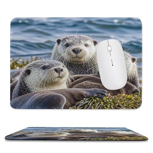 Mauspad, 20,1 x 23,9 cm, rutschfest, wasserdicht, Gaming-Mauspad für kabellose Maus, Computer, Laptop, Büro, Seeotter-Familie Mauspad, 20,1 x 23,9 cm, rutschfest, wasserdicht, Gaming-Mauspad für kabellose Maus, Computer, Laptop, Büro, Seeotter-Familie von VFMKT