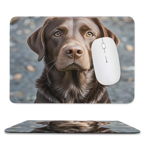 Mauspad, 20,1 x 23,9 cm, rutschfest, wasserdicht, Gaming-Mauspad für kabellose Maus, Computer, Laptop, Büro, brauner Labrador Retriever Mauspad, 20,1 x 23,9 cm, rutschfest, wasserdicht, Gaming-Mauspad für kabellose Maus, Computer, Laptop, Büro, brauner Labrador Retriever von VFMKT