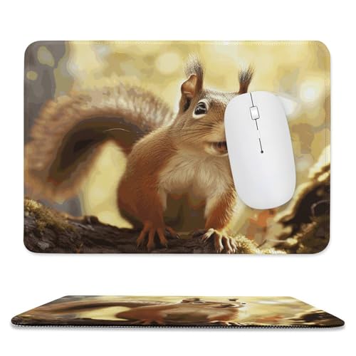 Mauspad, 20,1 x 23,9 cm, rutschfest, wasserdicht, Gaming-Mauspad für kabellose Maus, Computer, Laptop, Büro, lustiges Eichhörnchen Mauspad, 20,1 x 23,9 cm, rutschfest, wasserdicht, Gaming-Mauspad für kabellose Maus, Computer, Laptop, Büro, lustiges Eichhörnchen von VFMKT