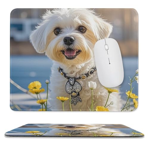 Mauspad, 24,9 x 30 cm, rutschfest, wasserdicht, Gaming-Mauspad für kabellose Maus, Computer, Laptop, Büro, Malteserhund Mauspad, 24,9 x 30 cm, rutschfest, wasserdicht, Gaming-Mauspad für kabellose Maus, Computer, Laptop, Büro, Malteserhund von VFMKT