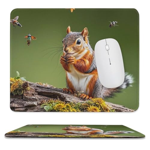 Mauspad, 24,9 x 30 cm, rutschfest, wasserdicht, Gaming-Mauspad für kabellose Maus, Computer, Laptop, Bürovögel, Eichhörnchen, Insekten Mauspad, 24,9 x 30 cm, rutschfest, wasserdicht, Gaming-Mauspad für kabellose Maus, Computer, Laptop, Bürovögel, Eichhörnchen, Insekten von VFMKT