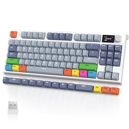 VGN GAMEPOWER RK86PRO Mechanische Gaming Tastatur Kabellos 75% Prozent TKL, 2,4G Wireless/Bluetooth/USB-C, RGB Gasket Keyboard M75 QWERTY, Farbdisplay, Drehknopf, Hot Swap Linearer Schalter, Lavendel von VGN GAMEPOWER