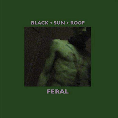 Feral [Vinyl LP] von VHF