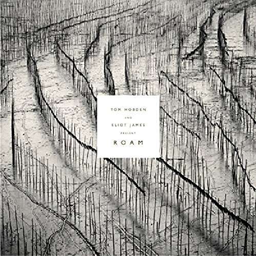 Tom Hobden & Eliot James Present: Roam (LP+MP3) [Vinyl LP] von VILLAGE GREEN