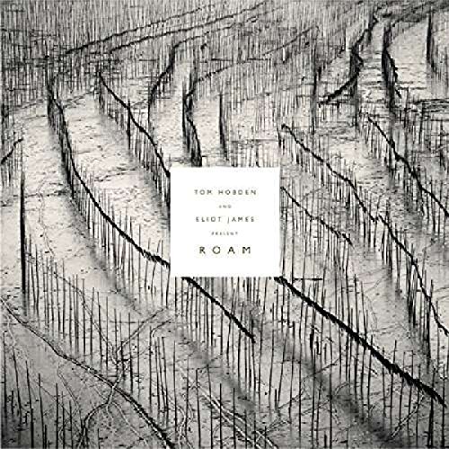 Present: Roam [Vinyl LP] von VILLAGE GREEN