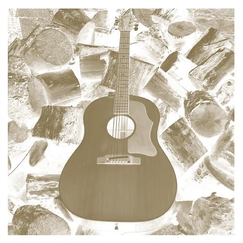 Solo Acoustic Volume Eleven - Homages [Vinyl LP] von VIN DU SELECT QU