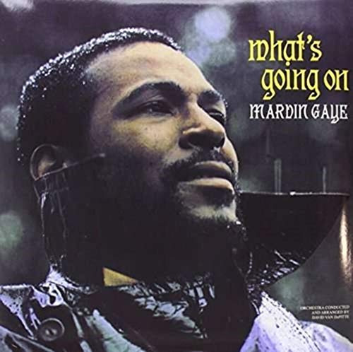 What's Going on [Vinyl LP] von VINYL LOVERS