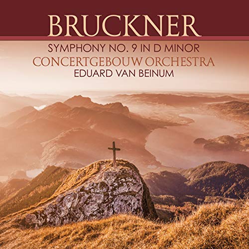 Sinfonie 9 in d Minor [Vinyl LP] von VINYL PASSION