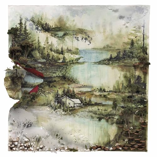 Bon Iver [Vinyl LP] von JAGJAGUWAR