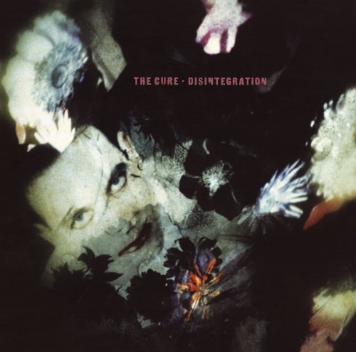 Disintegration [Vinyl LP] von VINYL