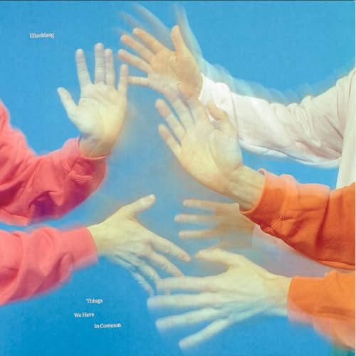 Things We Have in Common (Ltd Sky Blue Lp) [Vinyl LP] von VINYL