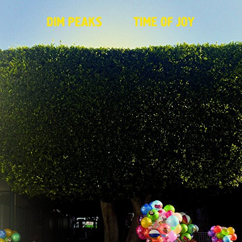 Time of Joy [Vinyl LP] von VINYL