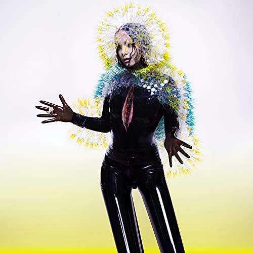 Vulnicura [Vinyl LP] von VINYL