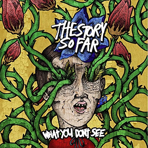 What You Dont See (Lp) [Vinyl LP] von VINYL