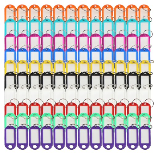 VIVIIHOO Schlüsselanhänger Beschriftbar-100pcs Gemischte Farbe Schlüsselmarkierer zum Beschriften,Schlüsselfobs für Haustiere und Gepäck,Kunststoff Schlüsselschilder mit Schlüsselringen in 10 Farben von VIVIIHOO
