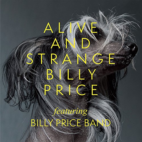 Alive and Strange von VIZZTONE