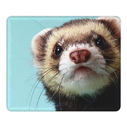 Mousepad Alphabetisches Frettchen-Mauspad mit Rutschfester Mausmatte auf Gummibasis 25X30CM von VLKFK