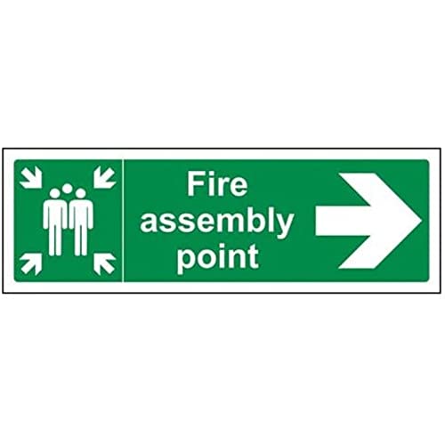 17022 vsafety Hauskatze ax-s "FIRE Assembly Point Pfeil rechts" Pflicht Schilder, selbstklebendes Vinyl, Landschaft, 300 mm x 100 mm, grün von VSafety