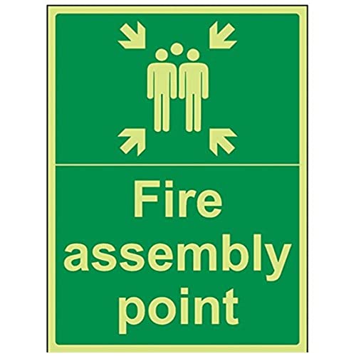 vsafety 17015bc-g Fire Assembly Point Schild, Fire Assembly Point mit Familie, Kunststoff, Portrait, 300 mm x 400 mm, grün von VSafety