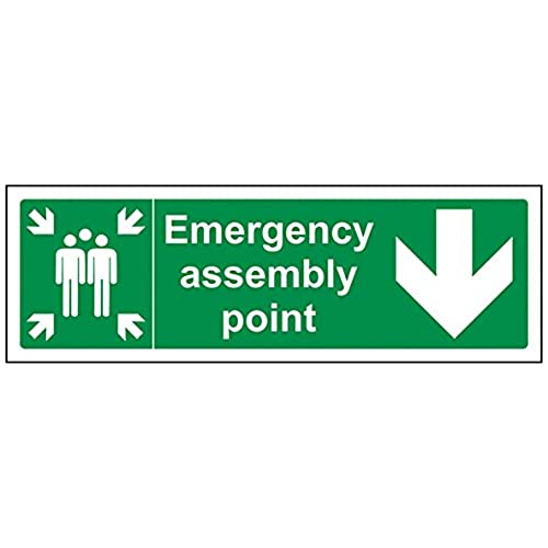 vsafety 17030 ax-s "Notfall Assembly Point Arrow Down Fire Assembly Point" Pflicht Schilder, selbstklebendes Vinyl, Landschaft, 300 mm x 100 mm, grün von VSafety