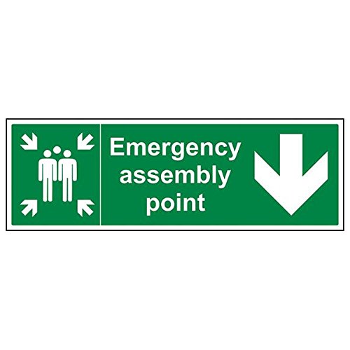 vsafety 17030bp-s "Arrow Down" Notfall Assembly Point Schild, 600 mm x 200 mm x 200 mm (3 Stück) von VSafety