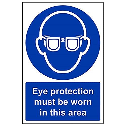 vsafety 41046 au-r "Auge Schutz zu tragen, in diesem Bereich" Pflicht Schutzbekleidung-Zeichen, starrer Kunststoff, Porträt, 200 mm x 300 mm, blau von VSafety