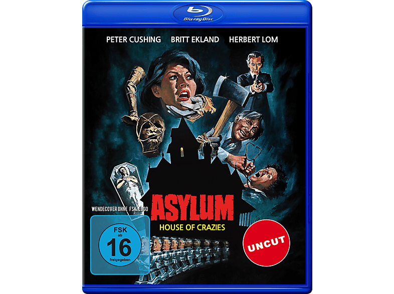 Asylum - Irrgarten des Schreckens Blu-ray von VZ HANDELSGESELLSCHAFT MBH