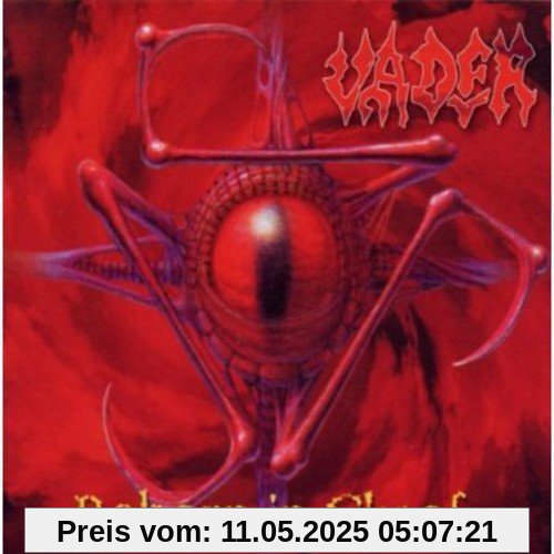 Reborn in Chaos Reborn in Chaos von Vader