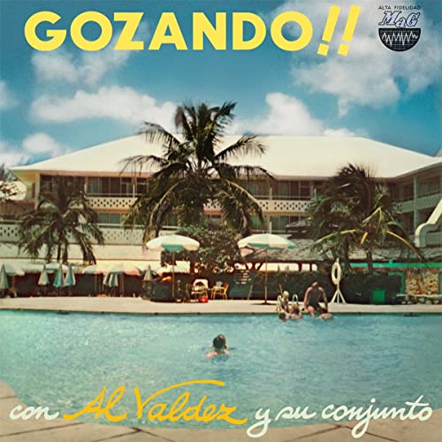 Gozando!! [Vinyl LP] von Vampisoul / Cargo