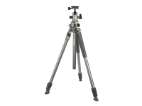 Vanguard Alta Pro 2+ 263AB100 - Stativ med ben - med Vanguard Alta BH 100 von Vanguard