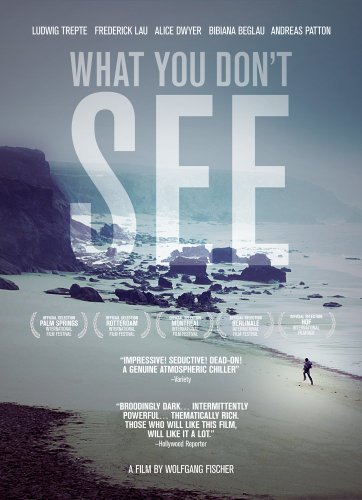 What You Dont See / (Ws) [DVD] [Region 1] [NTSC] [US Import] von Vanguard