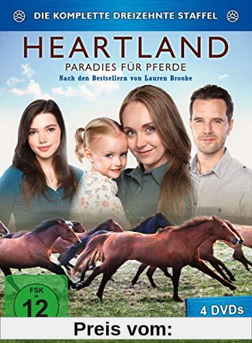 Heartland - Die dreizehnte Staffel [4 DVDs] von Various