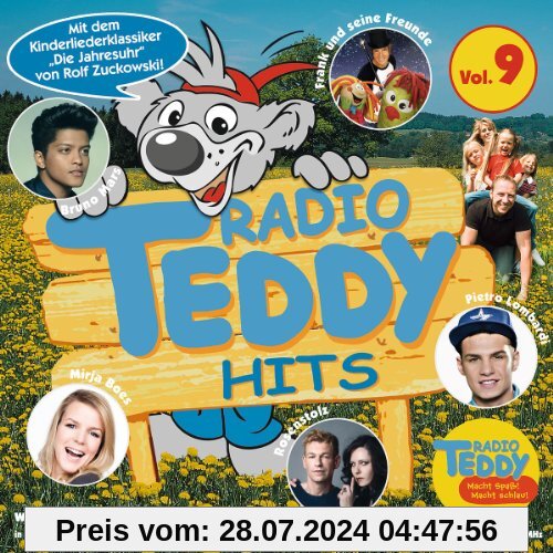Radio Teddy Hits Vol.9 von Various