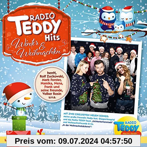 Radio Teddy Hits Winter & Weihnachten von Various