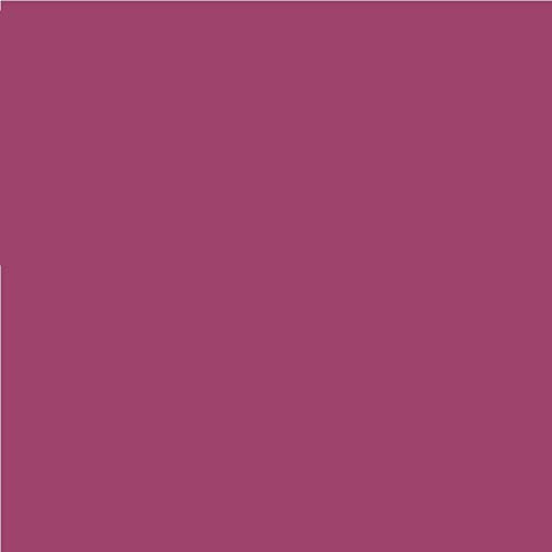 2 Stück LEE Nr. 127 Smoky Pink - 24 x 24 cm transparente, hitzebeständige, farbige Farbfolie für Foto Studio PAR 64 Scheinwerfer - Gel Farbfilter Filter Folie (2 Stück, Lee 127 Smoky Pink) von Varytec