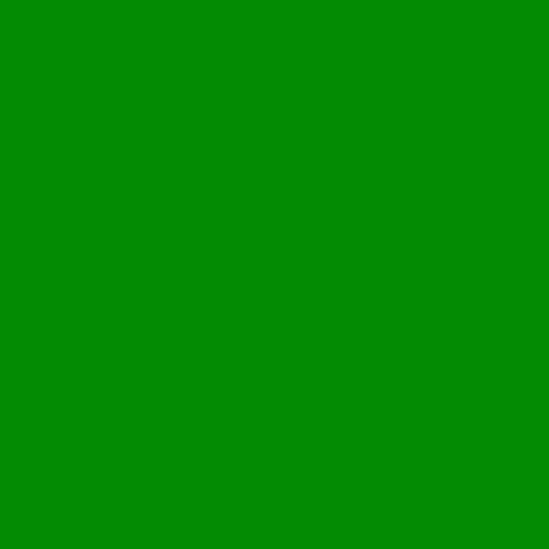 2 Stück LEE Nr. 139 Primary Green/Dunkel Grün - 24 x 24 cm transparente, hitzebeständige Farbfolie für Foto Studio PAR 64 Scheinwerfer - Farbfilter Filter Folie (2 Stück, Lee 139 Primary Green) von Varytec
