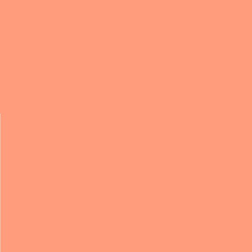 2 Stück - LEE Nr. 147 Apricot - 24 x 24 cm transparente, hitzebeständige, farbige Farbfolie für Foto Studio PAR 64 Scheinwerfer - Gel Farbfilter Filter Folie (2 Stück, Lee 147 Apricot) von Varytec