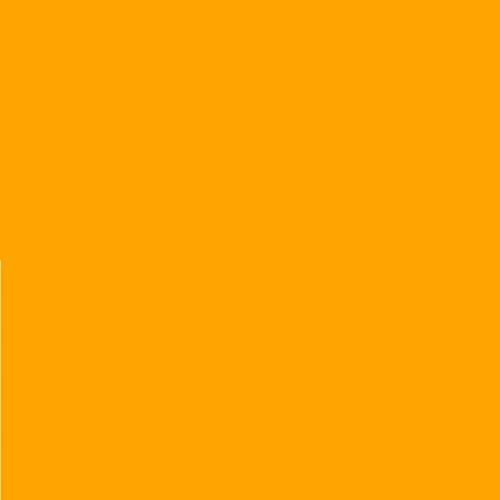 2 Stück LEE Nr. 179 Chrome Orange - 24 x 24 cm transparente, hitzebeständige, farbige Farbfolie für Foto Studio PAR 64 Scheinwerfer - Gel Farbfilter Filter Folie (2 Stück, Lee 179 Chrome Orange) von Varytec