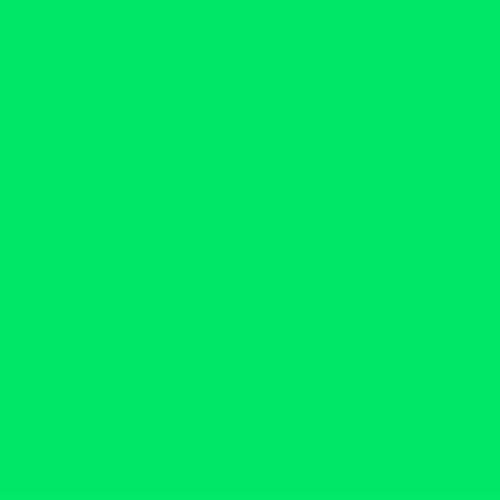 4 Stück LEE Nr. 122 Fern Green/Hell Grün - Nr. 24 x 24 cm transparente, hitzebeständige Farbfolie für Foto Studio PAR 64 Scheinwerfer - Farbfilter Filter Folie (4 Stück, Lee 122 Fern Green) von Varytec